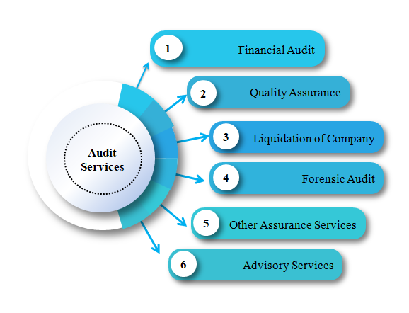 Professional Auditing Services In Dubai