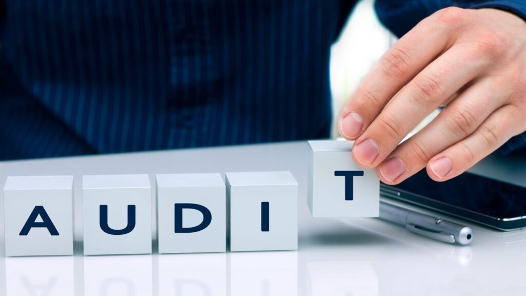 What Are the Different Types of Auditing Services Available